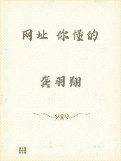 网址 你懂的